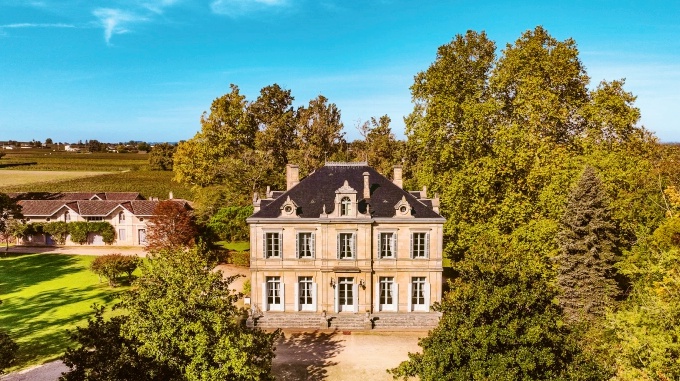 CHATEAU DASSAULT vinery